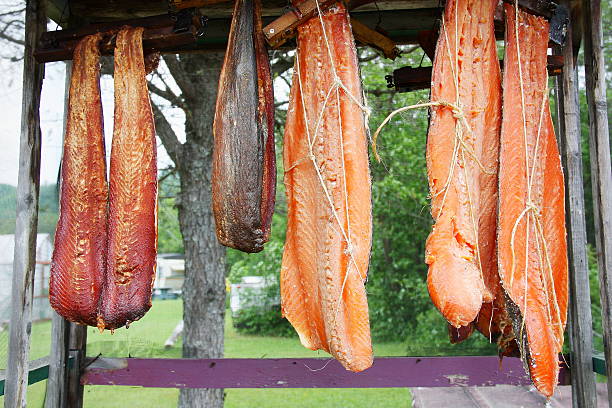 Canadian red salmon strips hung to smoke on a rack outdoor